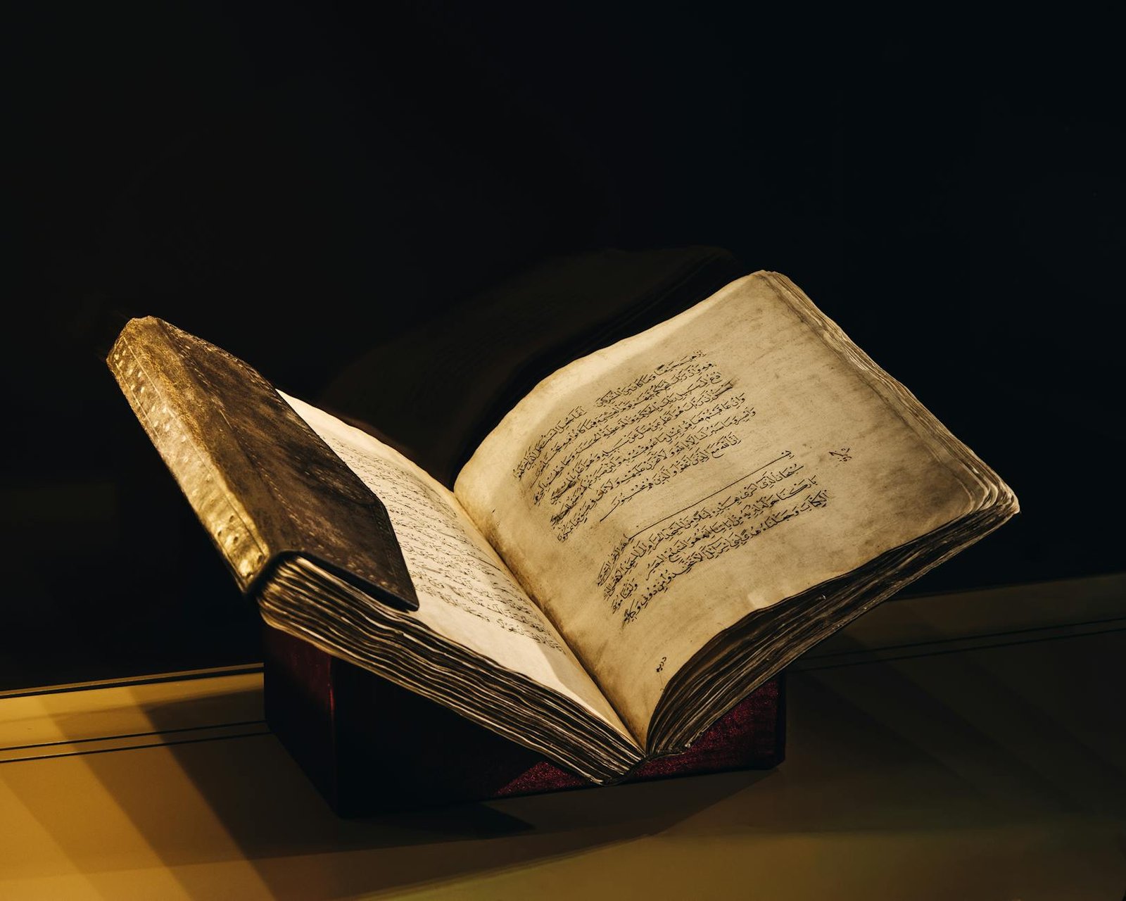 The Voynich Manuscript: The Book No One Can Read