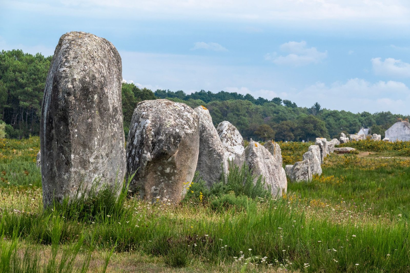 Why Were the Carnac Stones Built? A 3,000-Stone Riddle